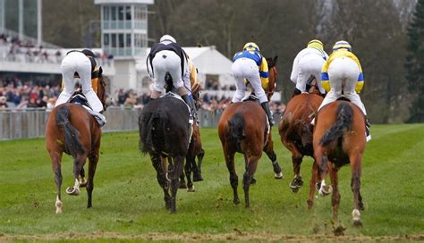 king george tips|King George VI Chase tips: Horse by horse guide to Kempton .